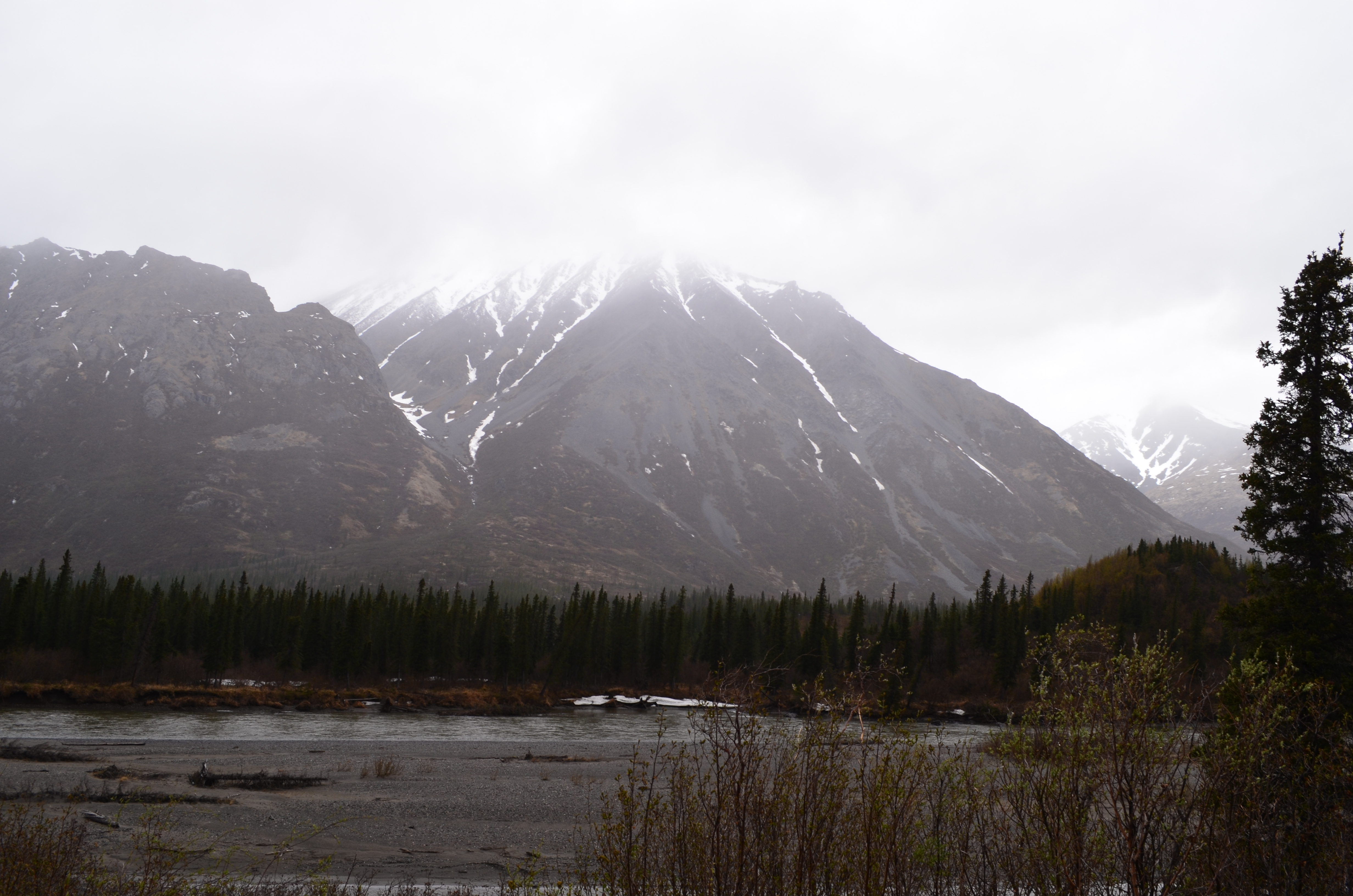 ./2017/08 - Alaska Cruise/03 - Denali/DSC_0111.JPG